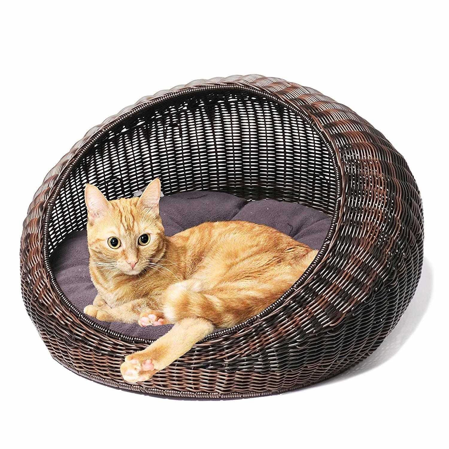 Домик лежак для кошек своими руками | Кошачьи кровати, Кот, Детеныши животных